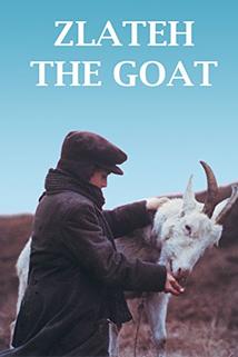 Profilový obrázek - Zlateh the Goat