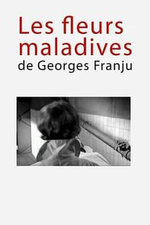 Profilový obrázek - Les fleurs maladives de Georges Franju