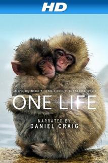 One Life  - One Life