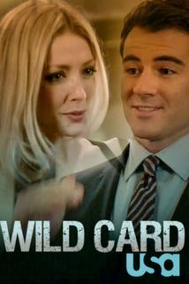Divoká karta  - Wild Card