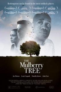 Profilový obrázek - The Mulberry Tree