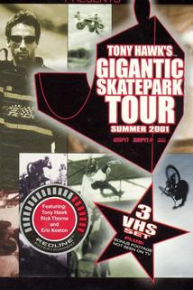 Profilový obrázek - Gigantic Skate Park Tour: Summer 2000