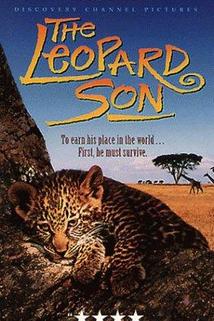 Profilový obrázek - The Leopard Son