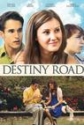 Destiny Road (2012)