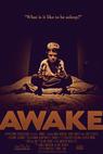 Awake (2011)
