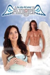 Ángel, las alas del amor