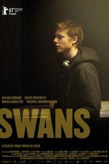 Profilový obrázek - Swans