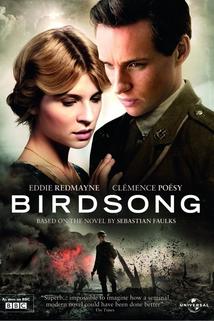 Ptačí zpěv  - Birdsong