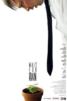 Profilový obrázek - Wait for Rain