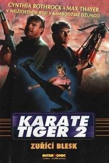 Profilový obrázek - Karate tiger 2: Zuřící blesk