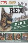 Komisař Rex (1994)