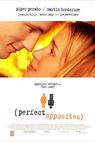 Dokonalé protiklady (2004)