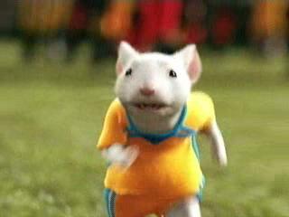 Myšák Stuart Little