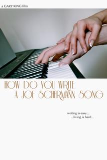 Profilový obrázek - How Do You Write a Joe Schermann Song