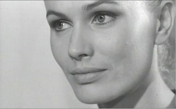 Il giardino delle delizie