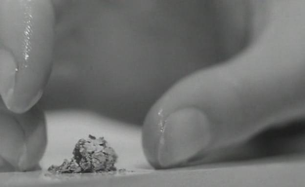 Il giardino delle delizie