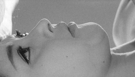 Il giardino delle delizie