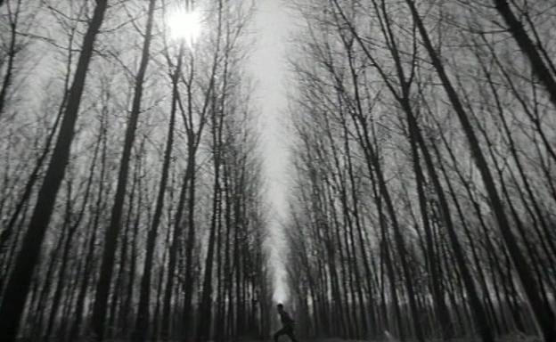 Il giardino delle delizie