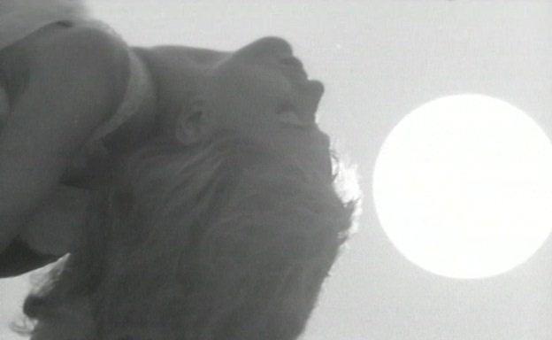 Il giardino delle delizie