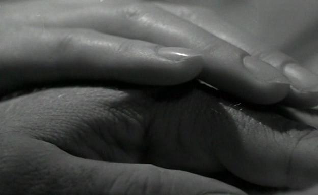 Il giardino delle delizie