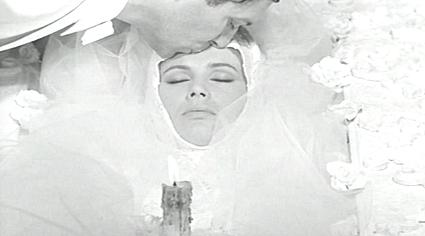 Il giardino delle delizie