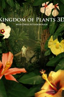 Profilový obrázek - Kingdom of Plants 3D