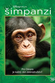 Profilový obrázek - Šimpanzi