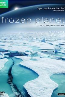 Profilový obrázek - Frozen Planet