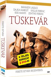 Profilový obrázek - Tüskevár