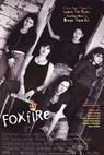 Foxfire (1996)