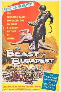 Profilový obrázek - The Beast of Budapest