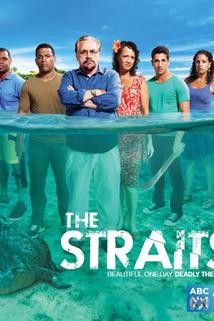 Profilový obrázek - Straits, The