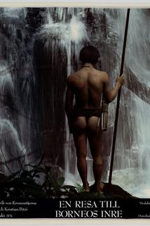 Profilový obrázek - Tong Tana - En resa till Borneos inre