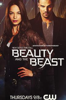Kráska a zvíře  - Beauty and the Beast