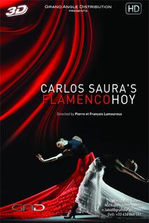 Flamenco Hoy