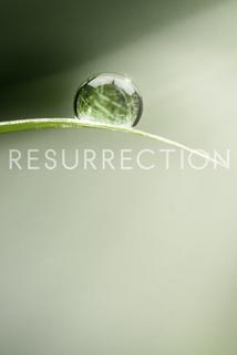 Profilový obrázek - Resurrection