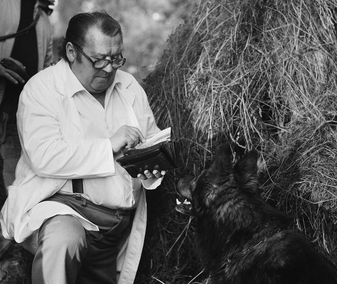 Stalo se jedné neděle