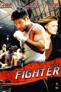 Profilový obrázek - The Fighter