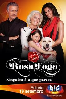Profilový obrázek - Rosa Fogo