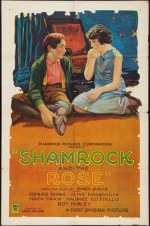 Profilový obrázek - The Shamrock and the Rose