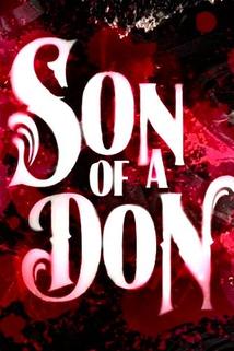 Profilový obrázek - Son of a Don