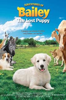 Profilový obrázek - Adventures of Bailey: The Lost Puppy