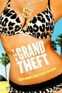 Profilový obrázek - The Grand Theft