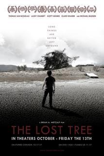 Profilový obrázek - The Lost Tree