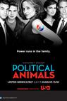 Politická hra (2012)