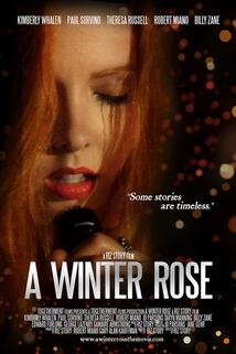 A Winter Rose  - A Winter Rose