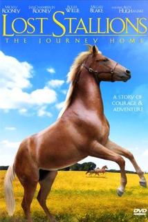 Profilový obrázek - Lost Stallions: The Journey Home