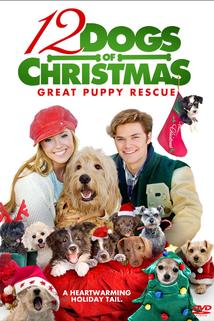 Profilový obrázek - 12 Dogs of Christmas: Great Puppy Rescue