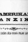 Amerikai anzix 