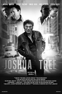 Profilový obrázek - Joshua Tree
